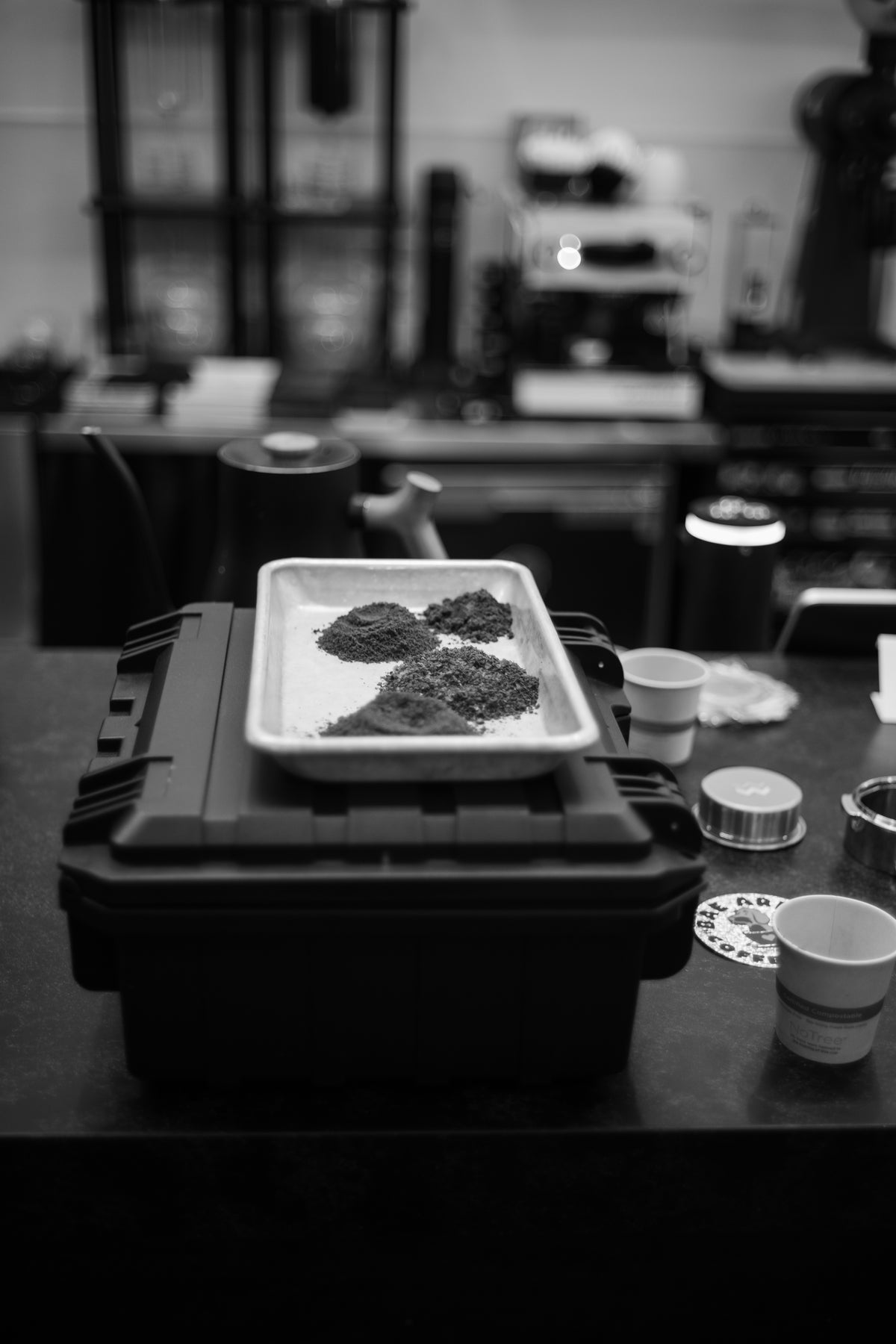 Coffee samples arranged on a tray during the workshop