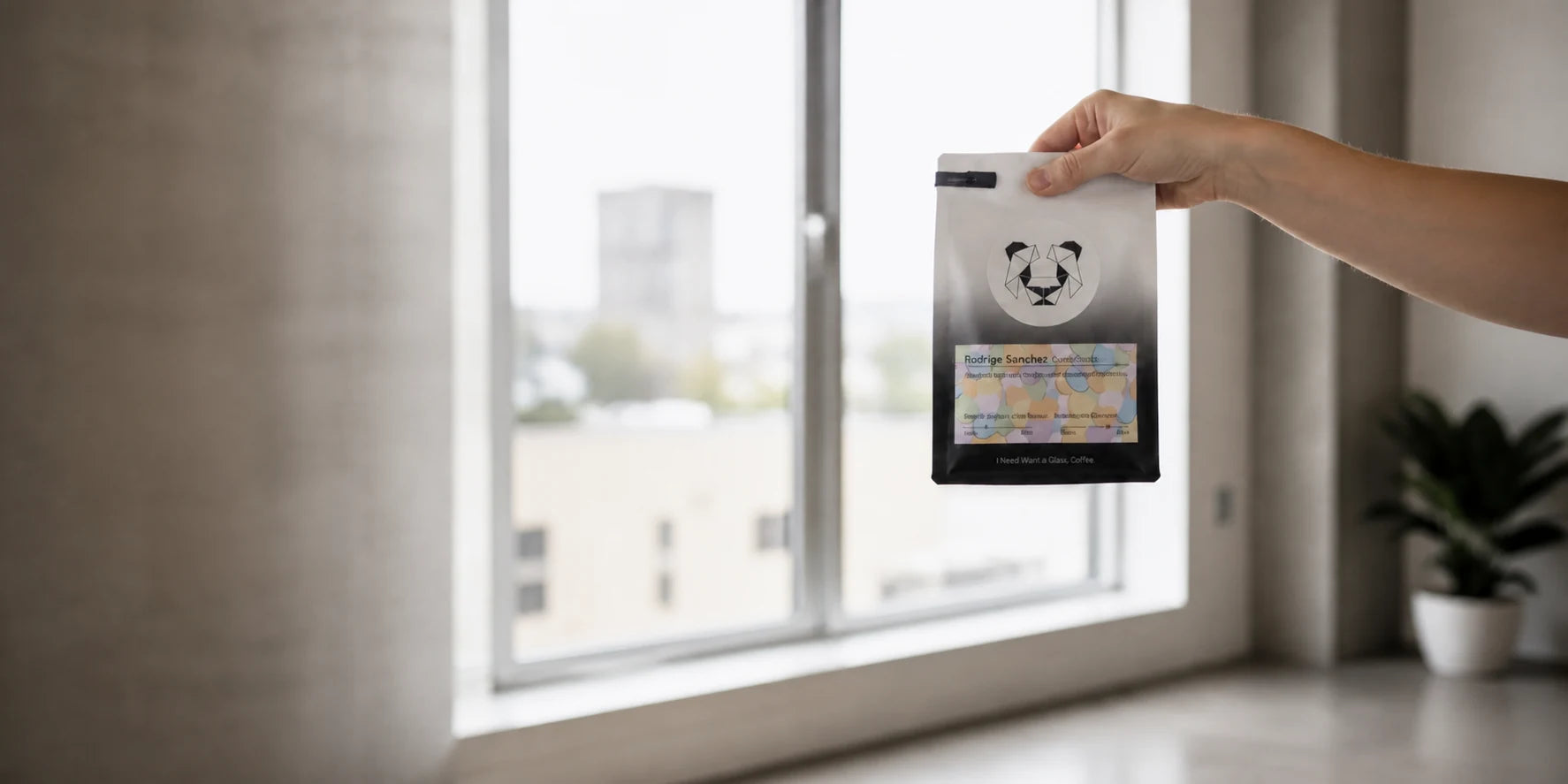 Mano sosteniendo una bolsa de café Kaizen en una habitación iluminada por el sol
